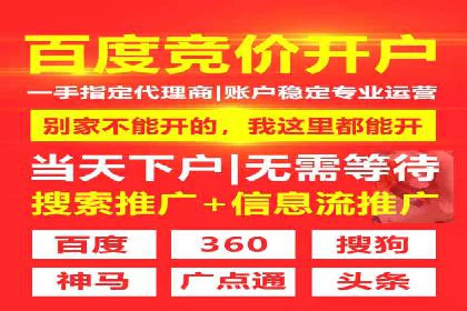 某知名企业SEM营销全案解析